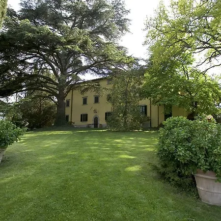 I Ciabattini Vicchio