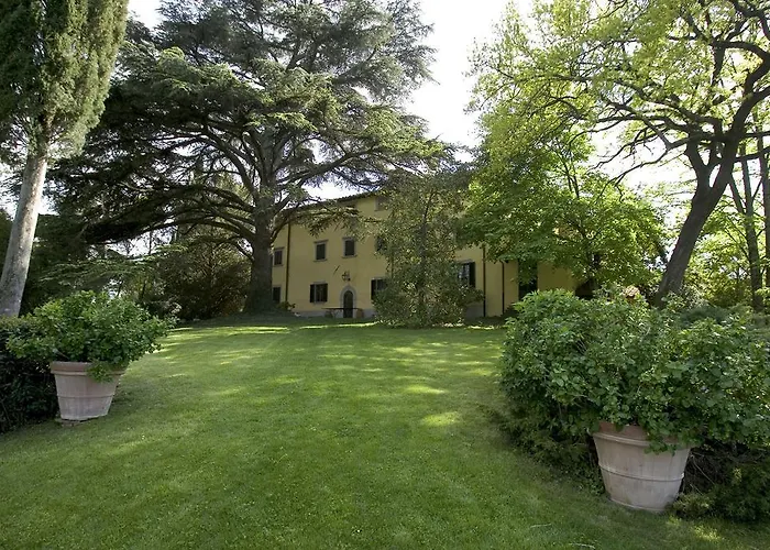 I Ciabattini Vicchio